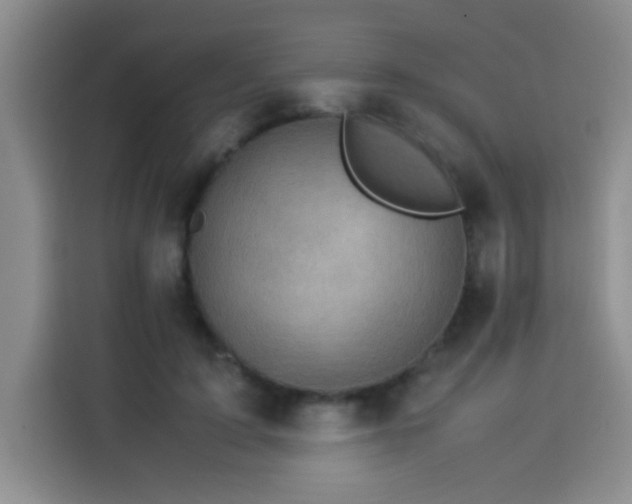 X0000113540595200910021351