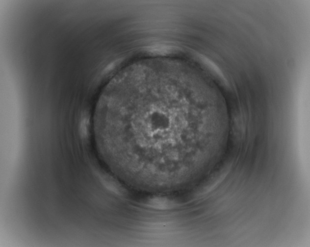 X0000113540596200910021351