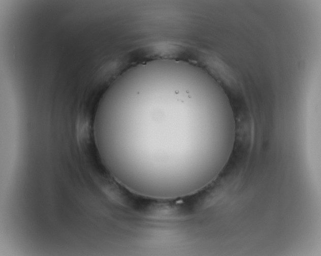 X0000113540597200910021351