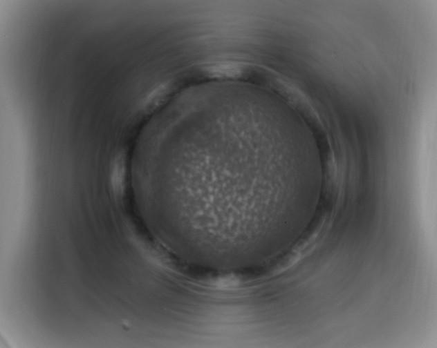 X0000113540600200910021351