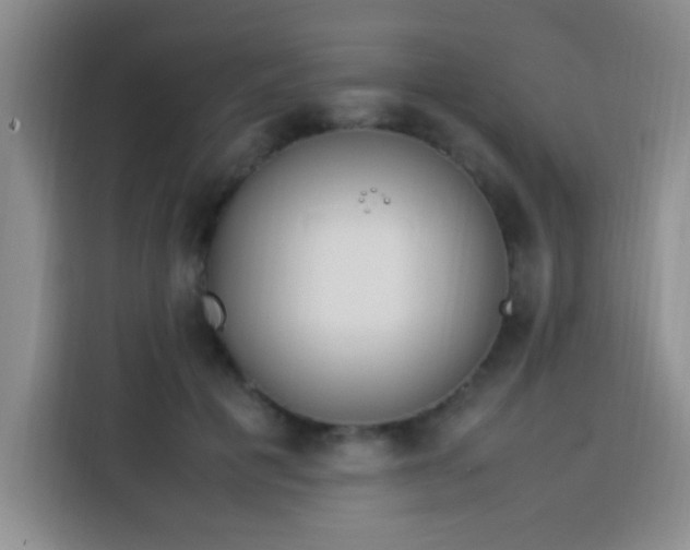 X0000113540601200910021351