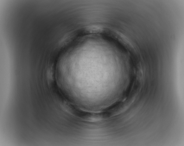 X0000113540604200910021351