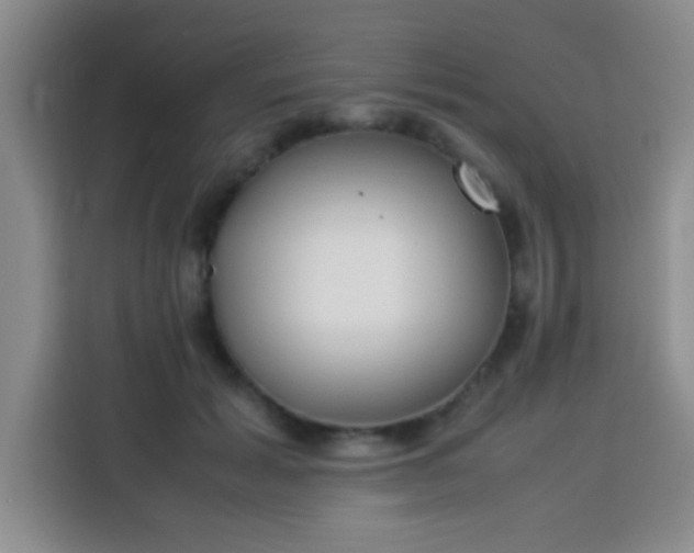 X0000113540605200910021351