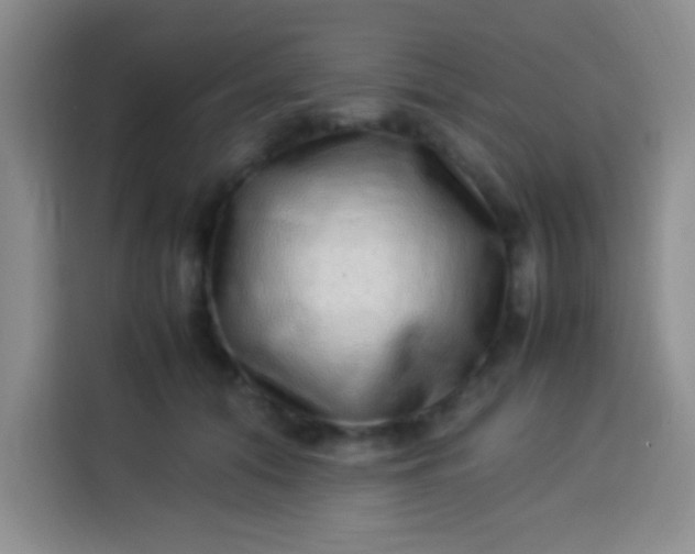 X0000113540608200910021351