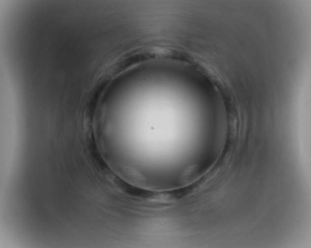 X0000113540609200910021351