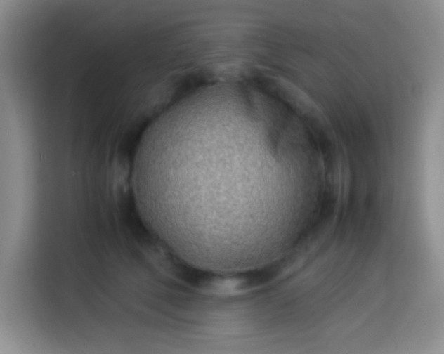 X0000113540610200910021351