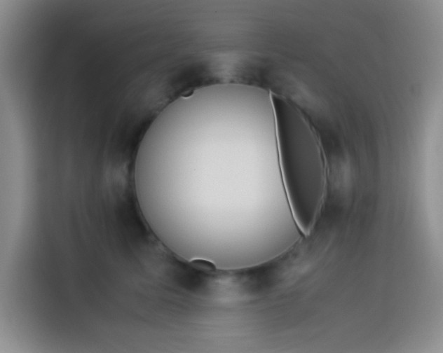 X0000113540611200910021351