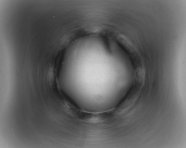 X0000113540612200910021351