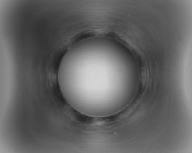 X0000113540613200910021351