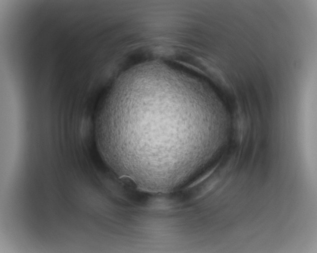 X0000113540614200910021351