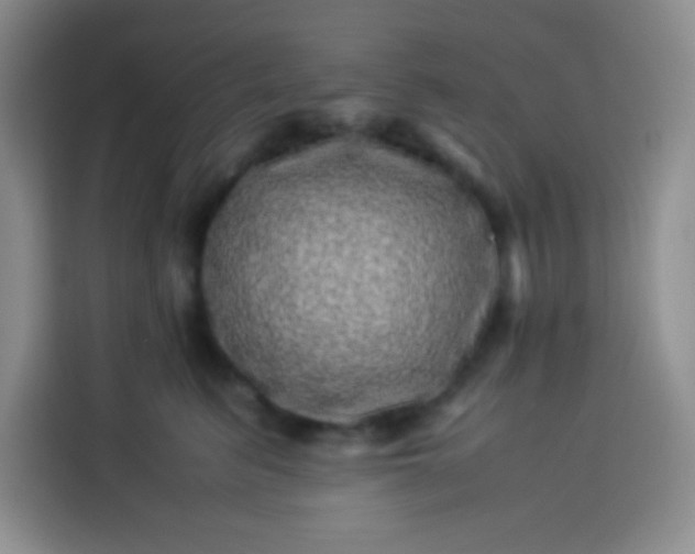 X0000113540615200910021351