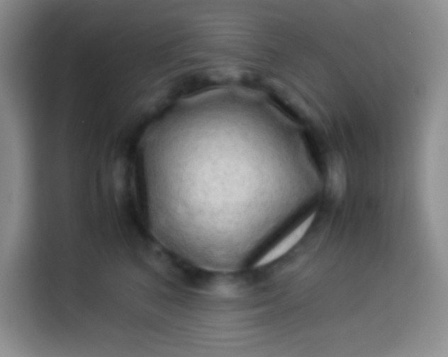 X0000113540616200910021351