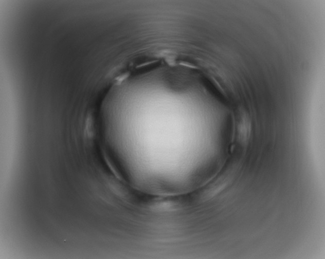 X0000113540620200910021351