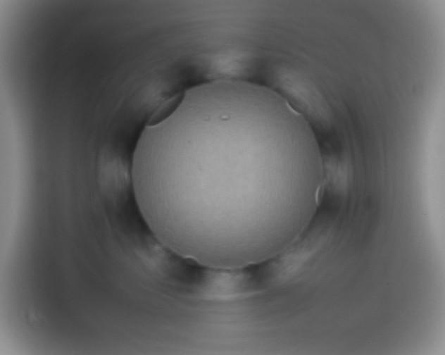 X0000113540621200910021351