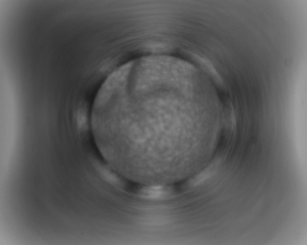 X0000113540622200910021351