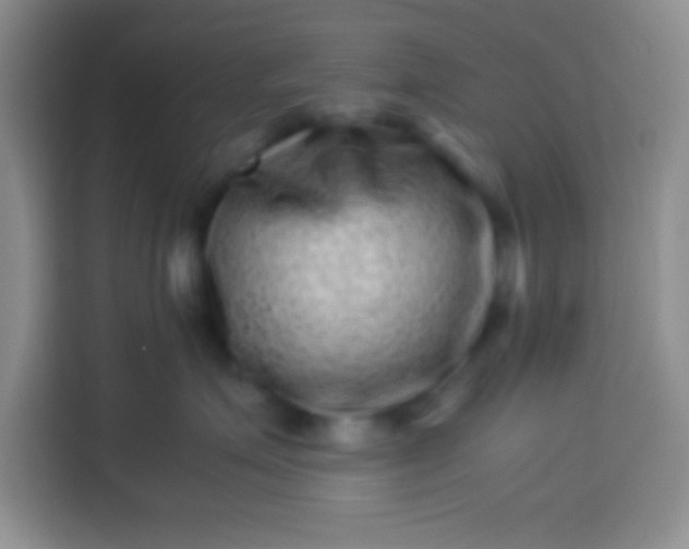 X0000113540623200910021351