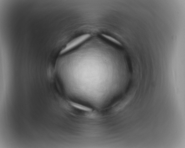 X0000113540624200910021351