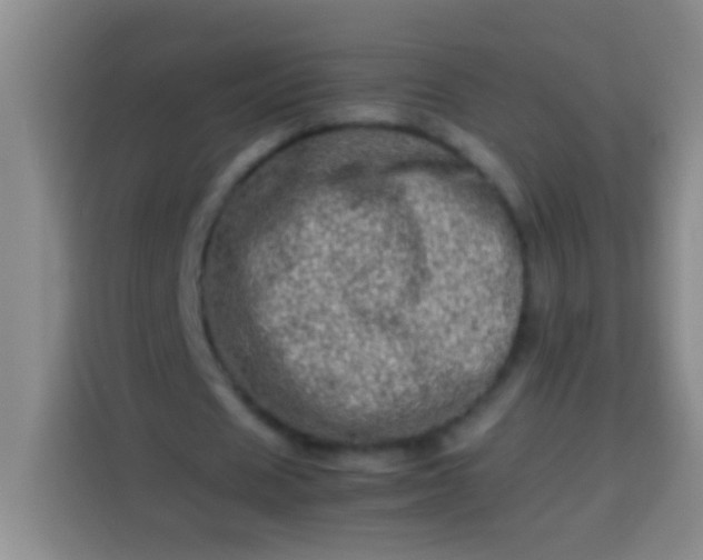 X0000113540625200910021350