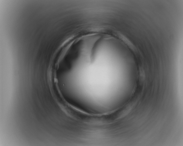 X0000113540626200910021350