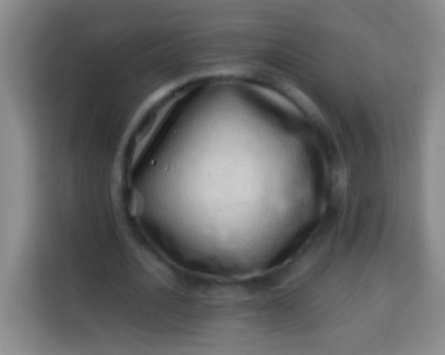 X0000113540628200910021350