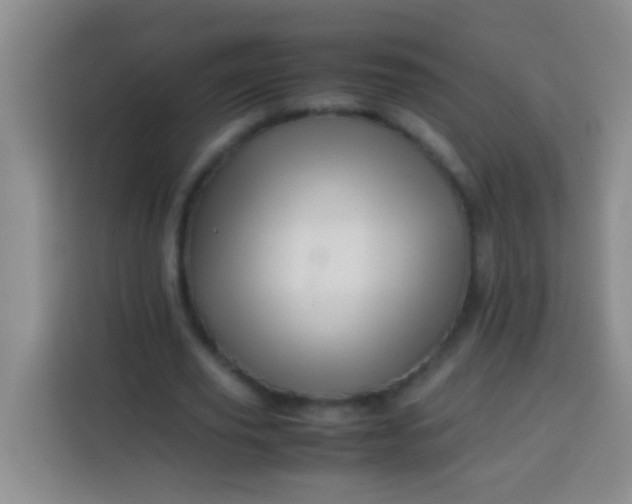 X0000113540629200910021350