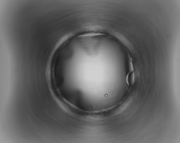 X0000113540630200910021350