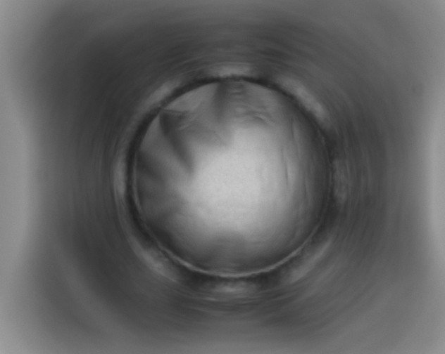 X0000113540631200910021350