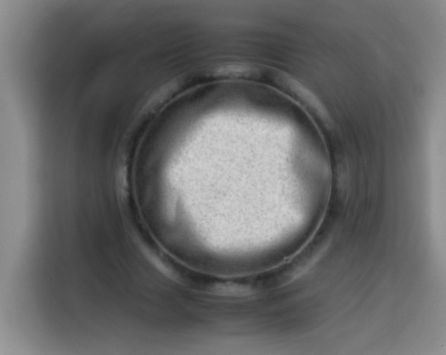 X0000113540633200910021350