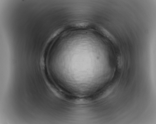 X0000113540634200910021350