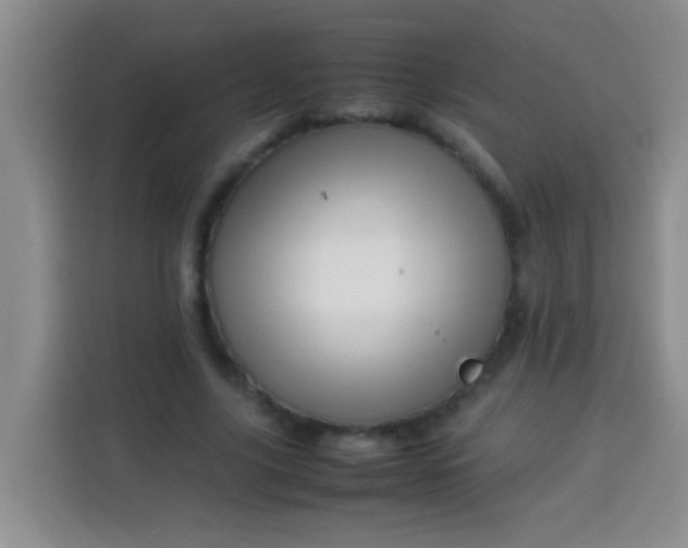 X0000113540635200910021350