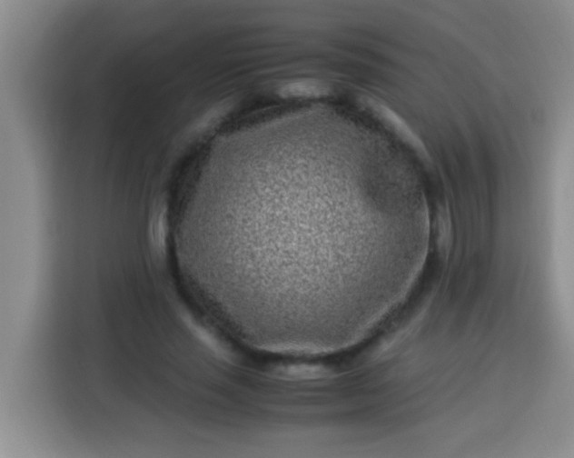 X0000113540637200910021350