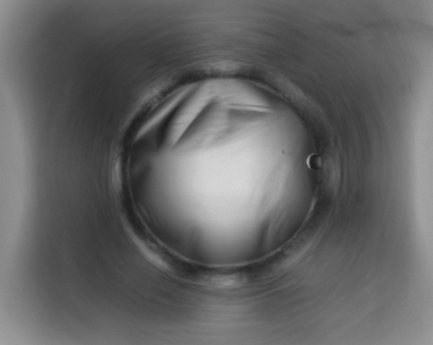 X0000113540638200910021350