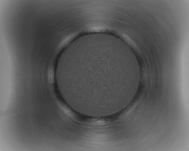 X0000113540640200910021350