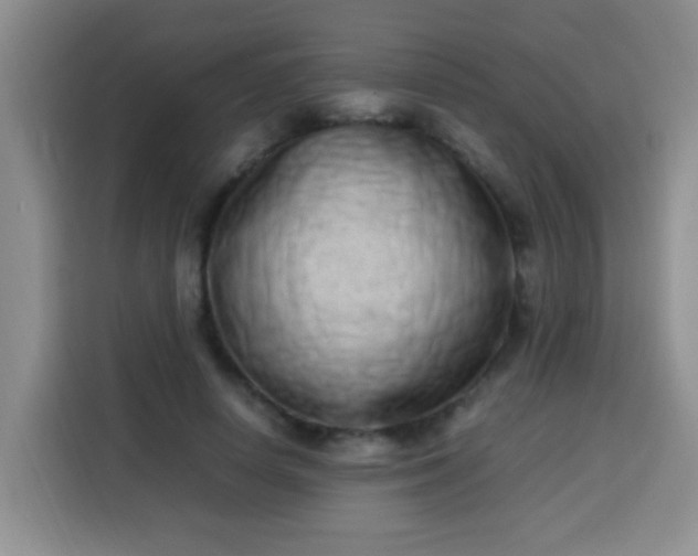 X0000113540642200910021350