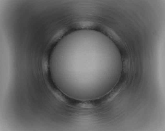 X0000113540644200910021350