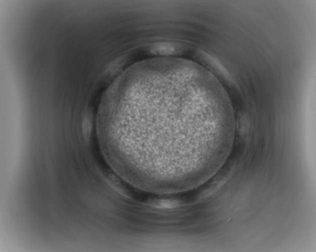 X0000113540645200910021350