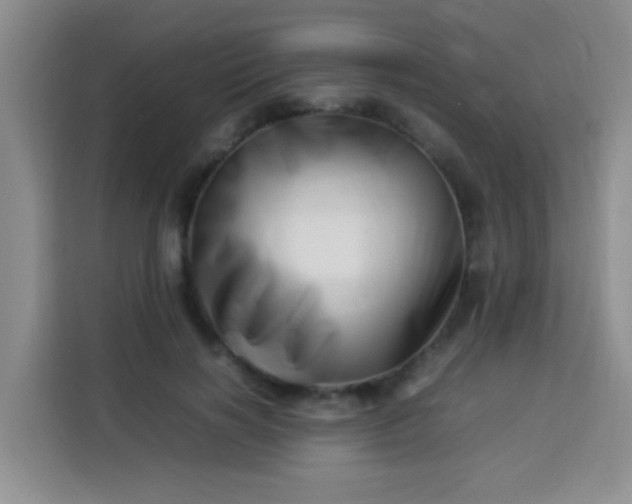 X0000113540646200910021350