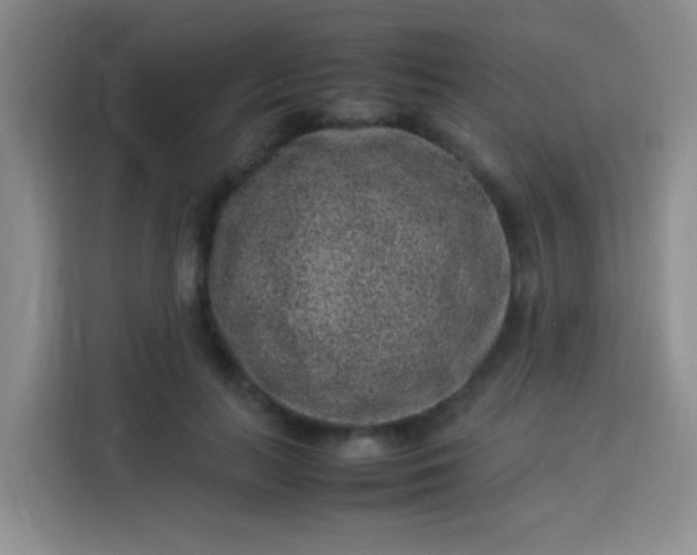 X0000113540647200910021350