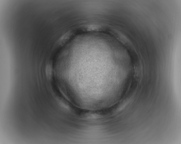 X0000113540648200910021350