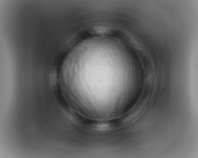 X0000113540651200910021350