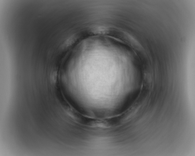 X0000113540652200910021350