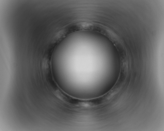 X0000113540654200910021350