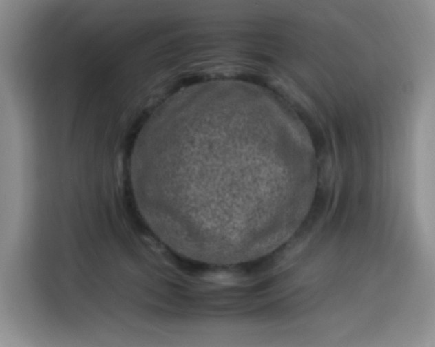 X0000113540655200910021350