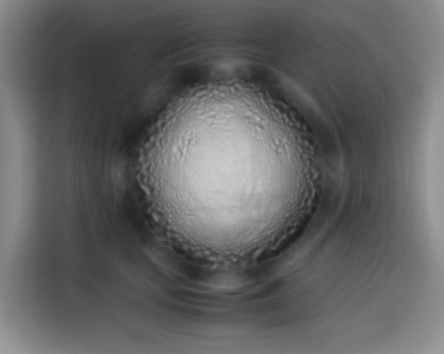 X0000113540659200910021350