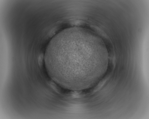 X0000113540660200910021350