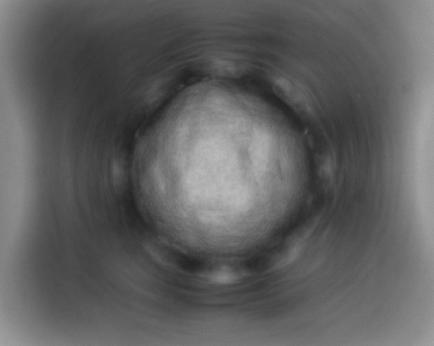 X0000113540663200910021350