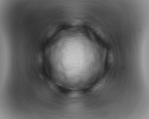 X0000113540664200910021350