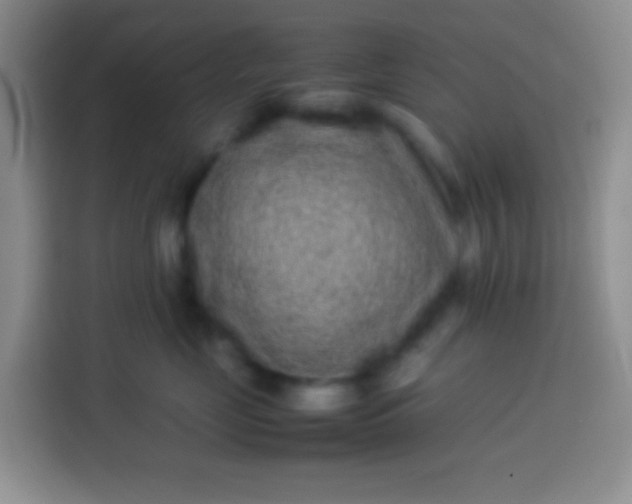 X0000113540669200910021350