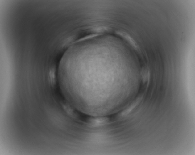 X0000113540670200910021351