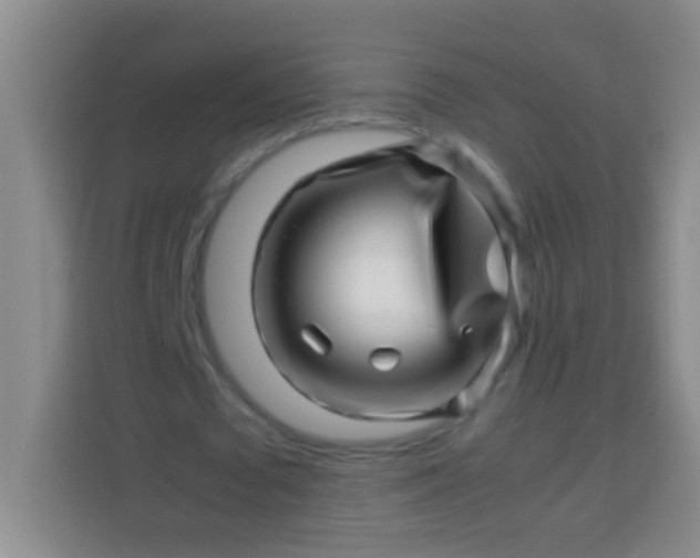 X0000113540673200910021350